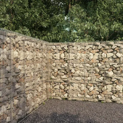 Image de vidaXL Mur de gabions avec couverture Acier galvanisé 300 x 50 x 200 cm