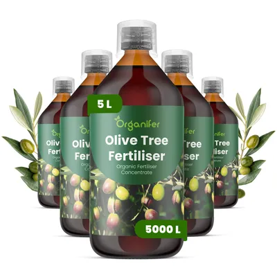 Produktbild von Olivenbaum Flüssigdünger 5x1L – 2-1-8 NPK – Flüssig-Pflanzendünger für Olivenbäume – Organifer