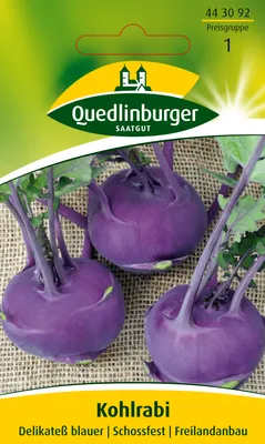 Produktbild von Kohlrabi 'Delikateß blauer' Quedlinburger Gemüsesamen