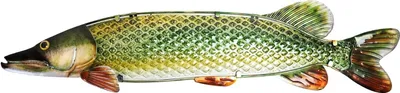 Produktbild von Eurocatch Hecht Wanddekoration - 90cm - 3D Metall und Glas - Kunst - Geschenktipp