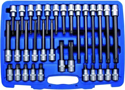 Produktbild von BGS 5182 Bit-Einsatz-Sortiment 12,5 (1/2), T-Profil, 32-tlg.