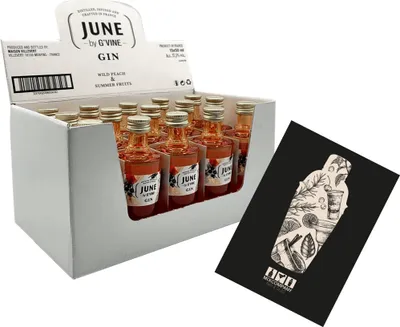 Produktbild von June by G Vine Gin Miniatur 15x 50ml (37,5% vol) Wild Peach + Summer Fruits Mini- [Enthält Sulfite]
