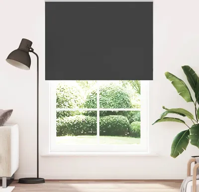 Obrázok produktu pre CLORIS zatemňovacia roleta čierna 155x230 cm šírka látky 151,6 cm - Rolety 4010957