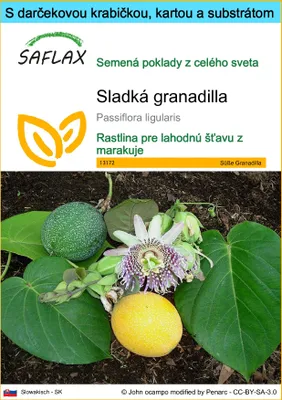 Obrázok produktu pre SAFLAX Darčeková sada - Sladká granadilla - Passiflora ligularis - 20 Semená - S darčekovou krabičkou, prepravným štítkom, darčekovou kartou a pestovateľským médiom