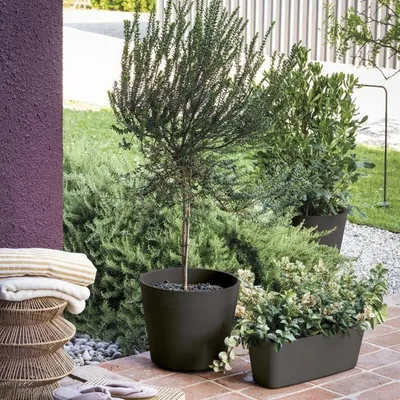 Produktbild von DEROMA Origin Pflanzkübel – 59 x 22,6 cm – 18 l – Anthrazit