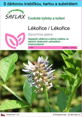 Obrázek produktu pro SAFLAX Dárková sada - Lékořice / Lékořice - Glycyrrhiza glabra - 30 Semena - S dárkovou krabičkou, přepravním štítkem, dárkovou kartou a pěstebním médiem