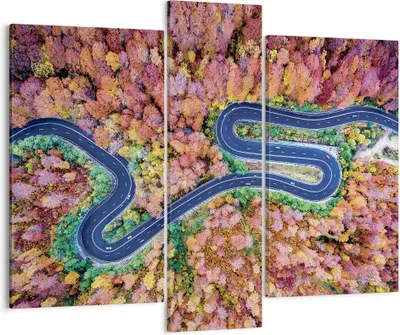 Produktbild von Bild auf Leinwand - Leinwandbild - 3 Teile - Kurvenreich Weg Wald - 95x80cm - Wand Bild - Wanddeko - Wandbilder - Leinwanddruck - Bilder - Wanddekoration - Leinwand bilder - Wandbild - CB95x80-4291