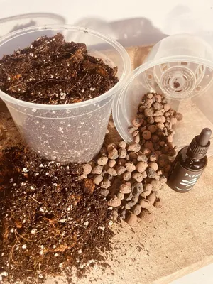 Obrázok produktu pre Sada kvetináčov 2 kusy, vrátane pôdy a hlinenej guľôčky, organické hnojivo, pre vnútorné použitie