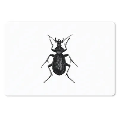 Produktbild von MuchoWow® Mauspad Mousepad Schwarz und weiß - Käfer - Vintage - Insekten 27x18 cm - Mousepads - Maus Mat - Pad - Mausunterlage - Büroartikel - Desk Matten