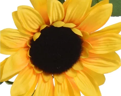 Produktbild von Künstliche Sonnenblumen Girlande 10x150cm Gelb / Grün