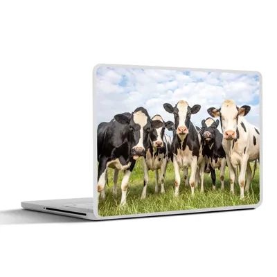 Produktbild von MuchoWow® Laptop Aufkleber Sticker Cover Kühe - Weide - Tiere - Natur - Gras 40x30 cm - Laptop Dekoration - Selbstklebend