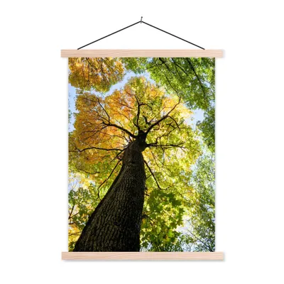 Produktbild von MuchoWow® Textilposter Baum - Natur - Wald 40x53 cm mit holzfarbenen Rahmen - Schlafzimmer
