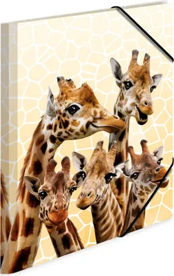 Produktbild von HERMA Sammelmappen DIN A4 Giraffen, 3 St.