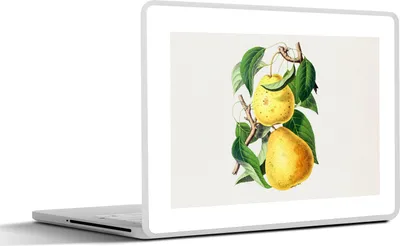 Produktbild von MuchoWow® Laptop Aufkleber Sticker Cover Birnen - Pflanze - Lebensmittel 25x18 cm - Laptop-Deko