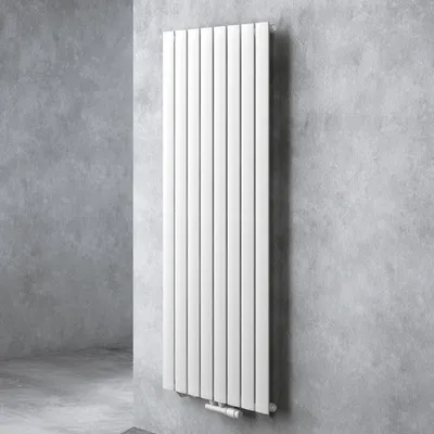 Image de doporro Radiateur pour Chauffage Central 160x61cm Radiateur à Eau Chaude Panneau Monocouche Design Vertical Blanc FV