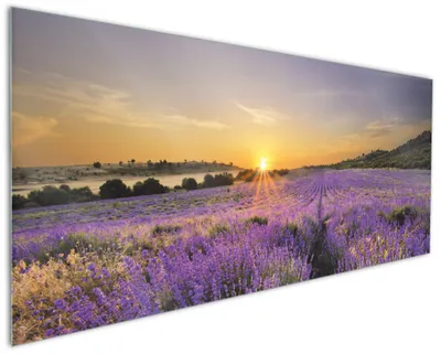 Produktbild von Wallario Küchenrückwand aus Glas, Größe: 125 x 50 cm, Motiv: Sonnenuntergang über dem Lavendel | Spritzschutz | abwischbar | pflegeleicht | in