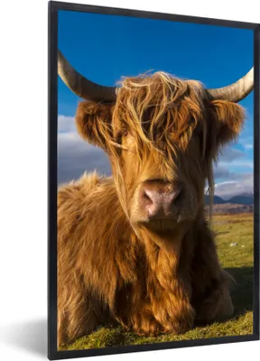 Produktbild von MuchoWow® Gerahmtes Poster Schottische Highlander - Tiere - Gras 40x60 cm - Poster mit Schwarzem Bilderrahmen Wandposter Rahmen Foto Bilder - Papierdruck - Wandbilder