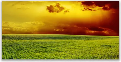 Produktbild von Tulup Leinwand-Bilder 140x70 Wandbild Canvas Kunstdruck Acker Landschaft