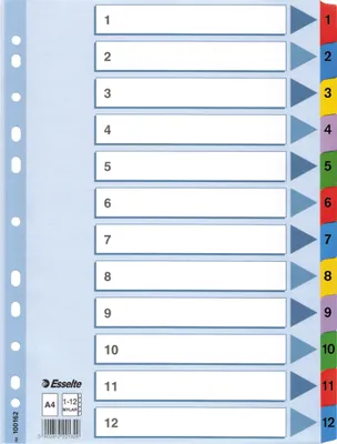 Produktbild von Esselte Register 100162 1-12 DIN A4 Mylar weiß