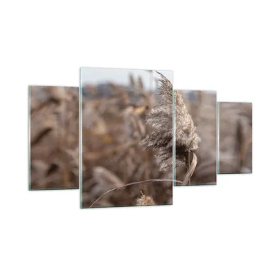 Produktbild von Bilder auf glas - 4 Teile - Boho Ähren Gras - 160x90cm - Glasbilder - Wandbilder - Bilder - zum Aufhängen bereit - Wanddekoration aus Glas - Glas Bilder - Wandbild auf Glas - GDL160x90-4763