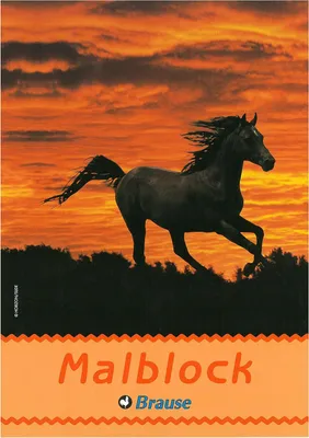 Produktbild von Clairefontaine Malblock A4 100Bl sort