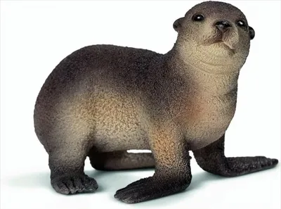 Produktbild von Schleich 14704 - Seelöwenjunges