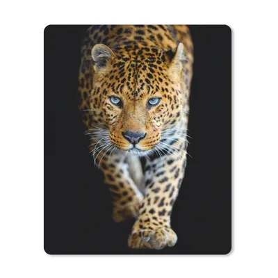 Produktbild von MuchoWow® Mauspad Mousepad Leopard - Tiere - Porträt - Wildtiere - Schwarz 19x23 cm - Mousepads - Maus Mat - Pad - Mausunterlage - Mauspads - Spielen