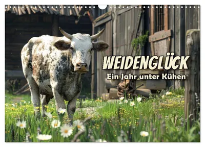 Produktbild von Weidenglück: Ein Jahr unter Kühen (Wandkalender 2027 DIN A3 quer), CALVENDO Monatskalender