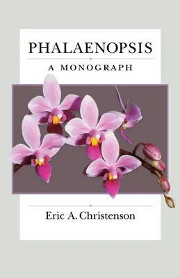 Produktbild von Phalaenopsis