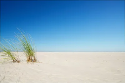 Produktbild von Wallario Poster - Sandstrand unter blauem Himmel, Kunstdruck Größe: 61 x 91,50 cm