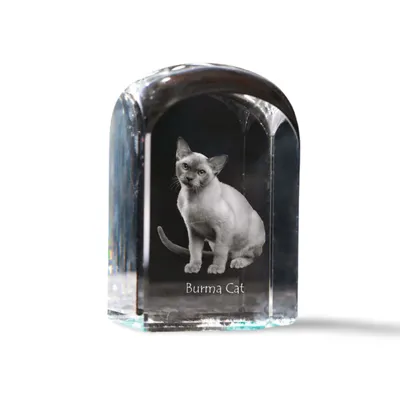 Produktbild von Burmesische Katze Kristallstempel mit einer Katze Art-Dog