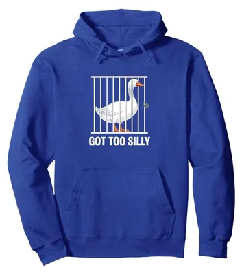 Produktbild von Weiche Damen-Kapuzenpullover mit langen Ärmeln