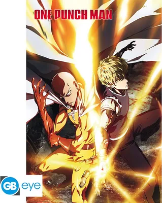 Produktbild von ONE PUNCH MAN - Poster Maxi 91cmx51cm - Saitama & Genos