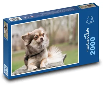 Produktbild von Puzzle 2000 Chihuahua - Hund, Haustier - martinpuzzle