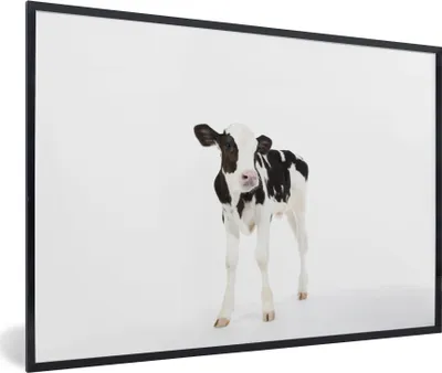 Produktbild von MuchoWow® MuchoWow® Gerahmtes Poster Kuh - Kalb - Weiß - Tiere 60x40 cm - Poster mit zchwarzem Bilderrahmen - Printing - Wanddeko Schlafzimmer