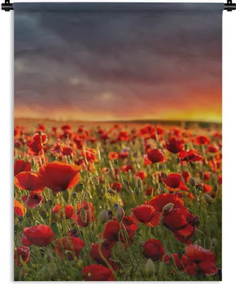 Produktbild von MuchoWow® Wandteppich Wandbehang Sonnenuntergang über einem Feld von Mohnblumen 150x200 cm Tapisserie Dekoration Wandtuch - Wandaufhängung - Moderner