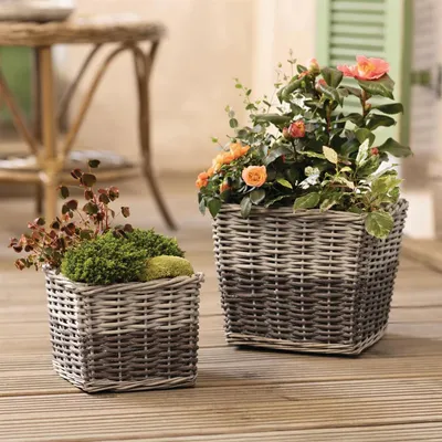 Produktbild von 2x Pflanzkorb "Grey" aus Weide, grau, Blumentopf, Pflanzkübel, Übertopf, Pflanztopf