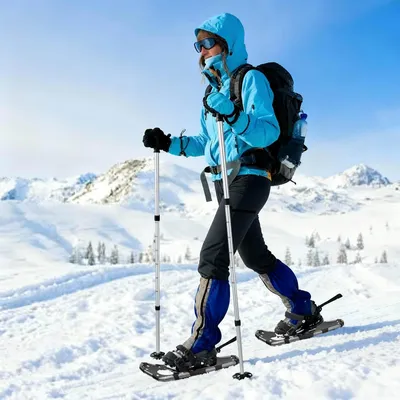 Produktbild von "Schlussverkauf" 3 in 1 Schneeschuhe - VIDAXL - mit Wanderstöcken Silber und Schwarz C17762