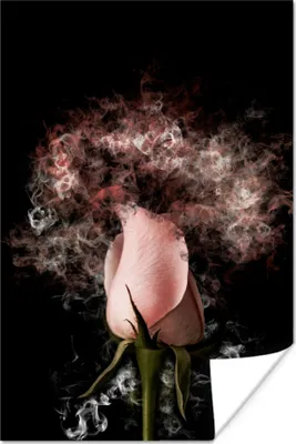 Produktbild von MuchoWow® Poster Blumen - Rauch - Rosa 120x180 cm - Kunstposter
