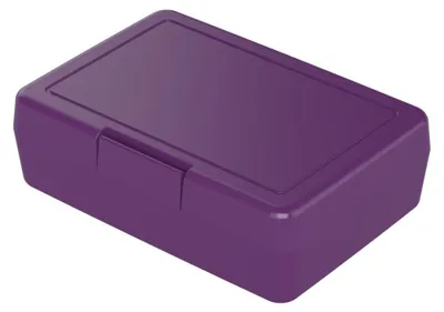 Obrázek produktu pro Box na oběd - dětský box na oběd z plastu bez BPA, ideální do školy i do práce, odolný box na oběd vyrobený v Německu - ostružina