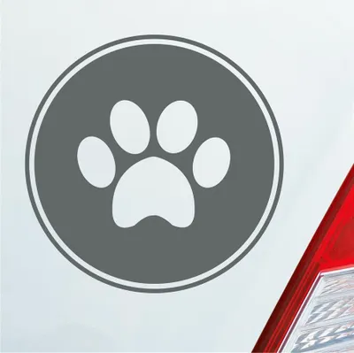 Produktbild von Auto Aufkleber Pfote Paw Dog Hund Tier Haustier Abdruck 10x10 cm Grau Sticker Heckscheibenaufkleber