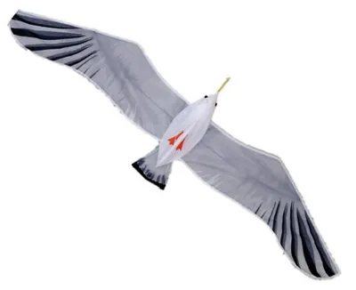 Obrázok produktu pre Drak čajka 150 x 55 cm 02291