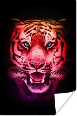 Produktbild von MuchoWow® Poster Tiger - Orange - Rot 120x180 cm - Kunstposter