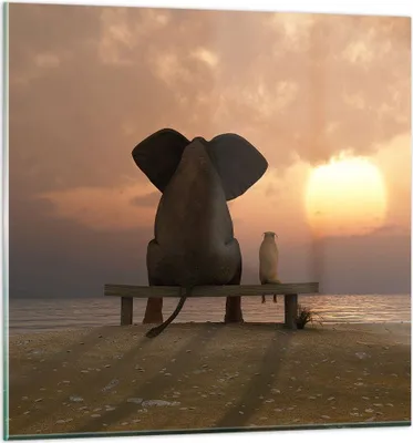 Produktbild von Bilder auf glas - Elefant Ufer Meer - 70x70cm - Glasbilder - Wandbilder - Kunstdruck - zum Aufhängen bereit - Wanddekoration aus Glas - Glas Bilder - Wandbild auf Glas - Einteilig - GAC70x70-3555