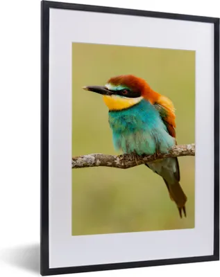 Produktbild von MuchoWow® Gerahmtes Poster Vogel - Bienenfresser - Tiere 30x40 cm - Poster mit Schwarzem Bilderrahmen Wandposter Rahmen Foto Bilder - Wandposter Schlafzimmer