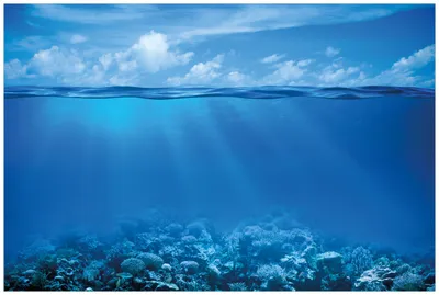 Produktbild von Wallario Wandbild aus Acryl, 90 x 60 cm, freischwebende Optik - Unterwasserwelt Meer