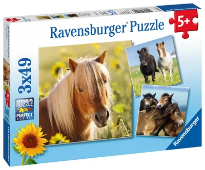 Obrázek produktu pro Ravensburger 4005556080113, 49 kusů, Zvířata, 5 rok/roky
