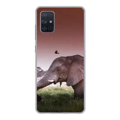 Produktbild von MuchoWow® Handyhülle Schutzhülle Hülle für Samsung Galaxy A71 Elefant - Gras - Sonne - Tiere Silikon Softcase Handy Hülle - Kartenbesitzer