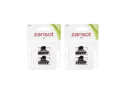 Obrázek produktu pro Zansot Sponka na vlasy 2,5 cm, matná černá 2ks
