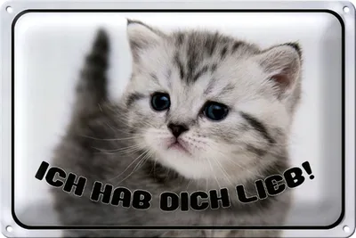 Produktbild von Blechschild Katze 18x12cm ich hab dich lieb